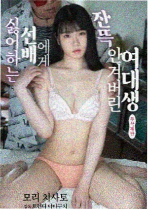 成人影视免费看 推荐